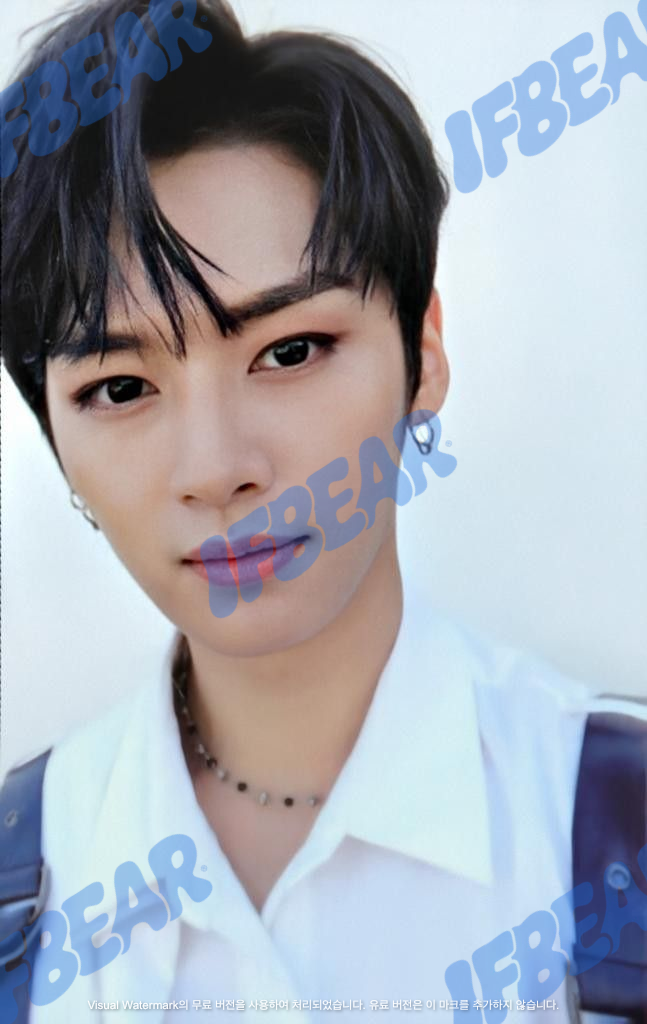 LEVANTER 리벤터 SELFIE VER LEE KNOW 리노 2019 Photocard PC