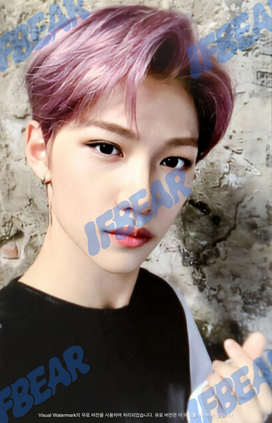 LEVANTER 리벤터 SELFIE VER FELIX 필릭스 2019 Photocard PC