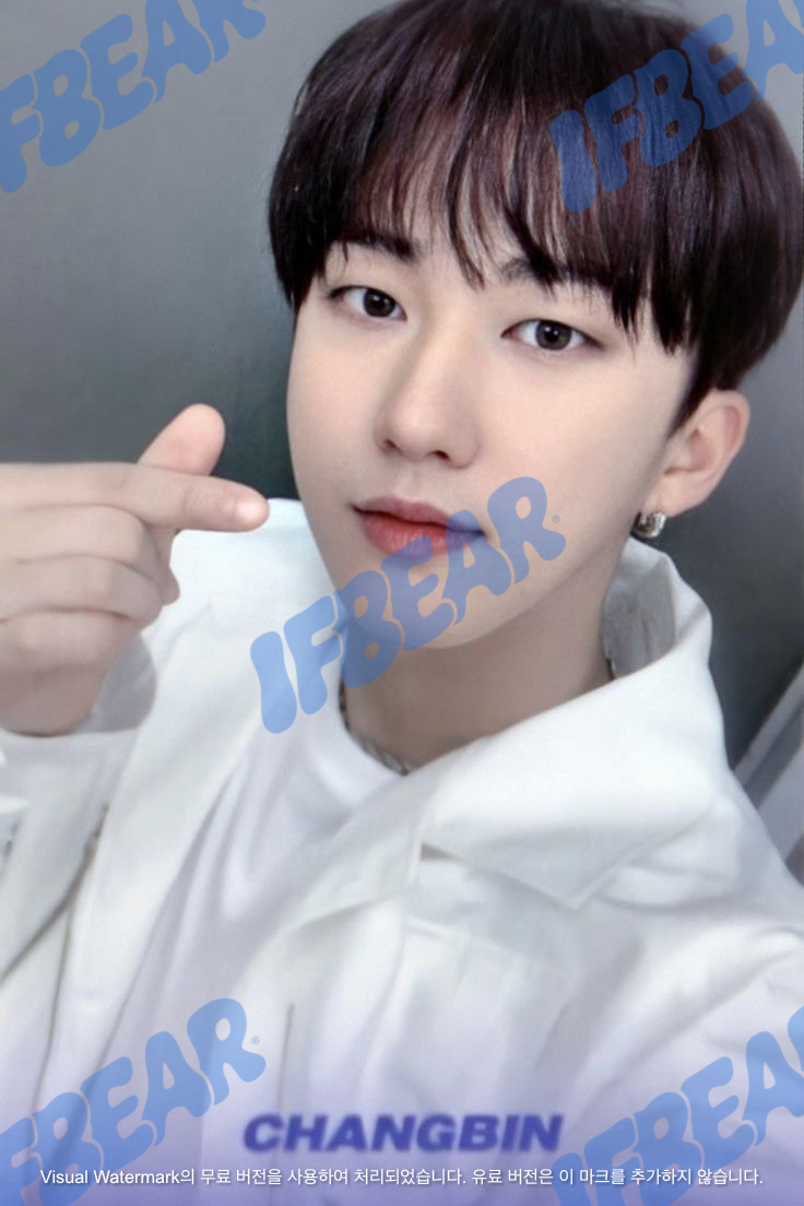 LEVANTER 리벤터 NAME VER CHANGBIN 창빈 2019 Photocard PC