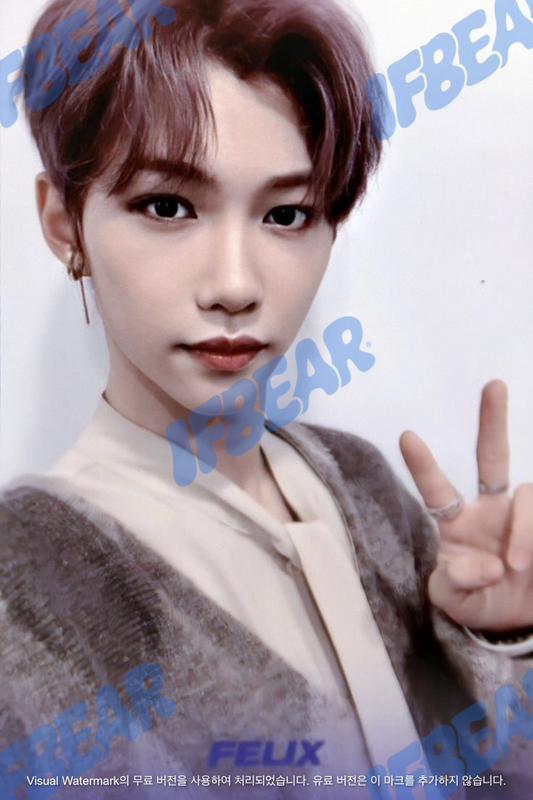 LEVANTER 리벤터 NAME VER FELIX 필릭스 2019 Photocard PC