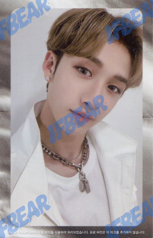 LEVANTER 리벤터 SILVER VER BANGCHAN 방찬 2019 Photocard PC