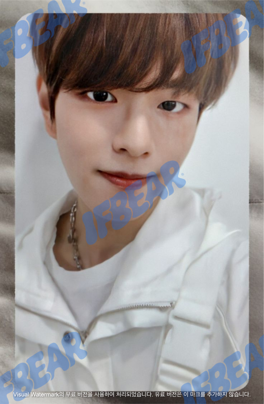 LEVANTER 리벤터 SILVER VER SEUNGMIN 승민 2019 Photocard PC