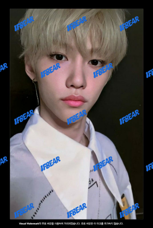 YELLOW WOOD 옐로우 우드 BLACK BORDER FELIX 필릭스 2019 YW Photocard PC