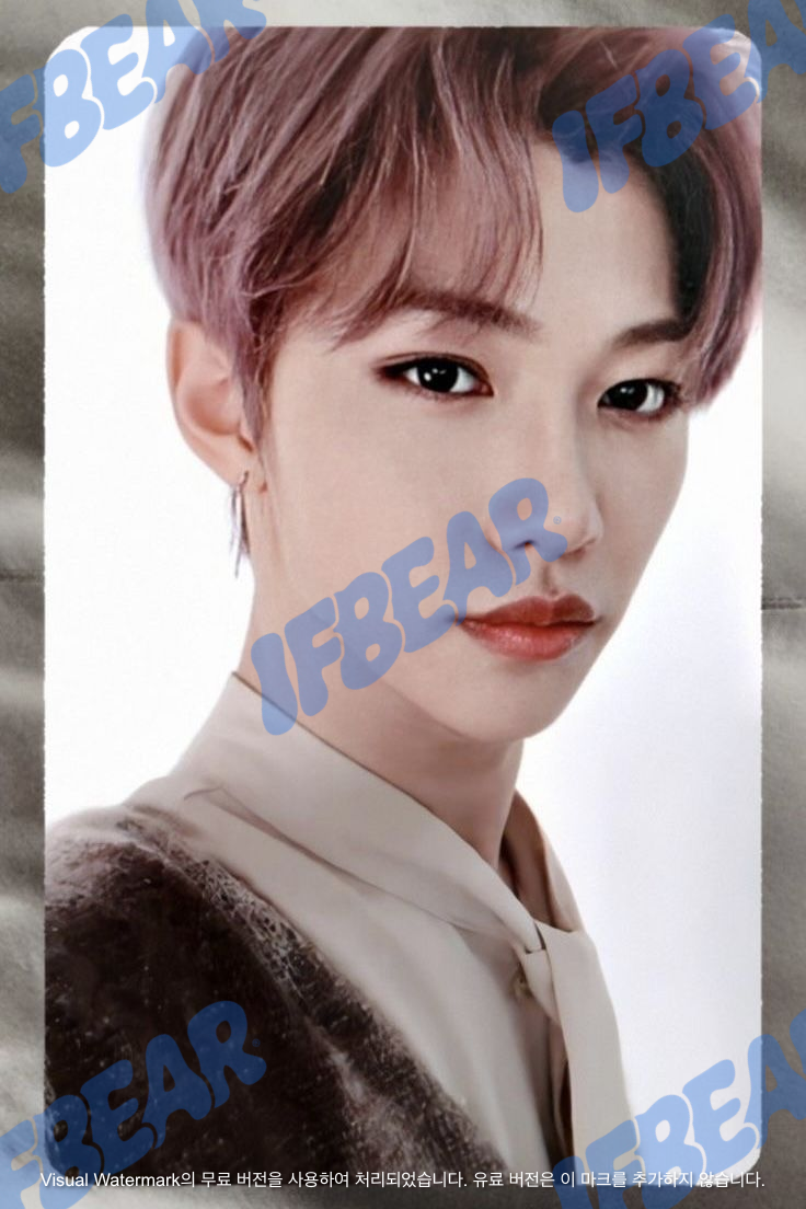 LEVANTER 리벤터 SILVER VER FELIX 필릭스 2019 Photocard PC