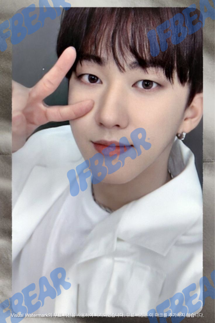 LEVANTER 리벤터 SILVER VER CHANGBIN 창빈 2019 Photocard PC