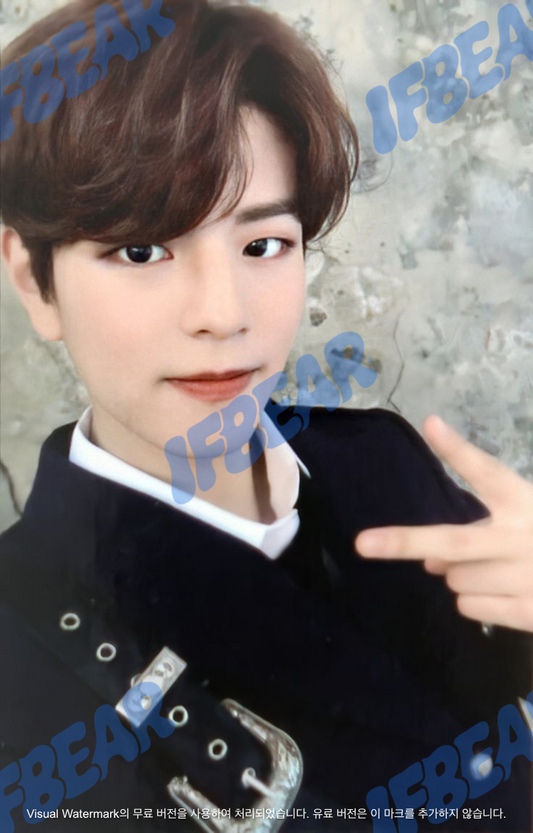 LEVANTER 리벤터 SELFIE VER SEUNGMIN 승민 2019 Photocard PC