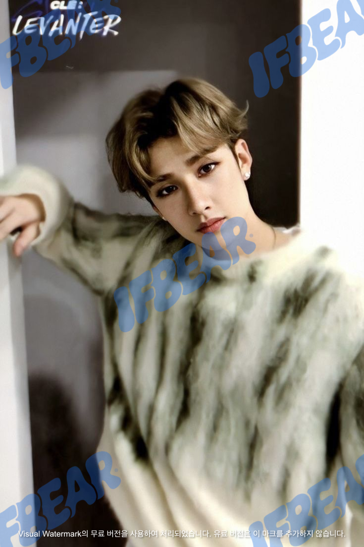 LEVENTER 리벤터 ALBUM TITLE VER BANGCHAN 방찬 2019 Photocard PC