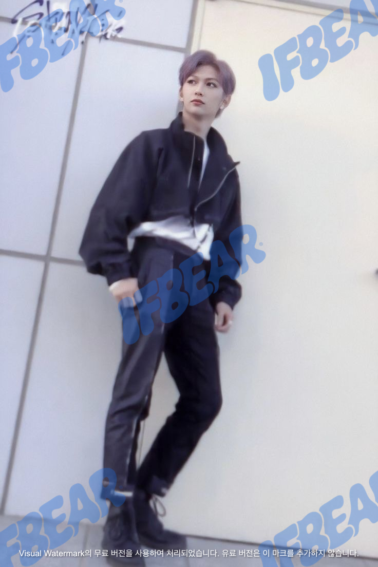 LEVENTER 리벤터 ALBUM TITLE VER FELIX 필릭스 2019 Photocard PC