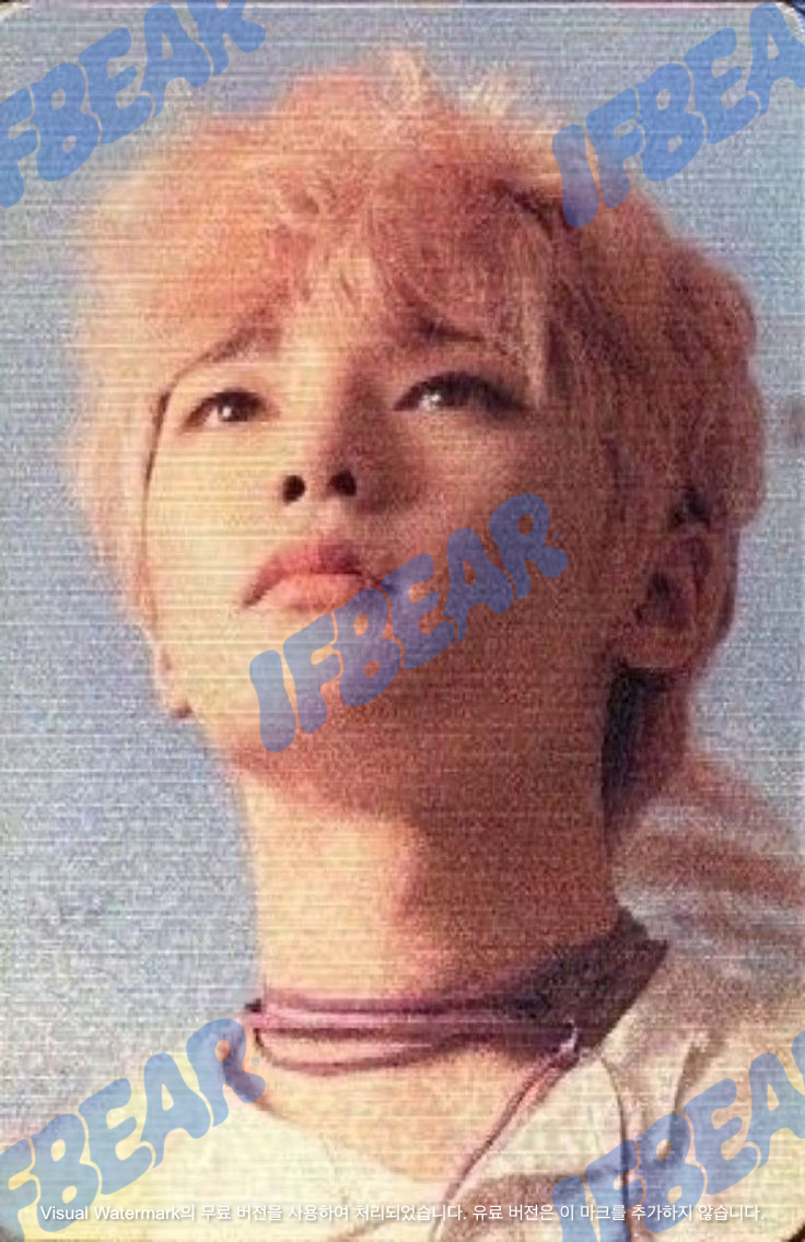 LEVANTER 리벤터 LIMITED VER I.N 아이엔 2019 Photocard PC