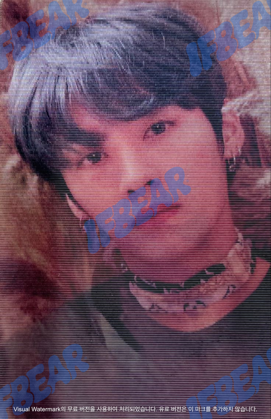 LEVANTER 리벤터 LIMITED VER LEE KNOW 리노 2019 Photocard PC