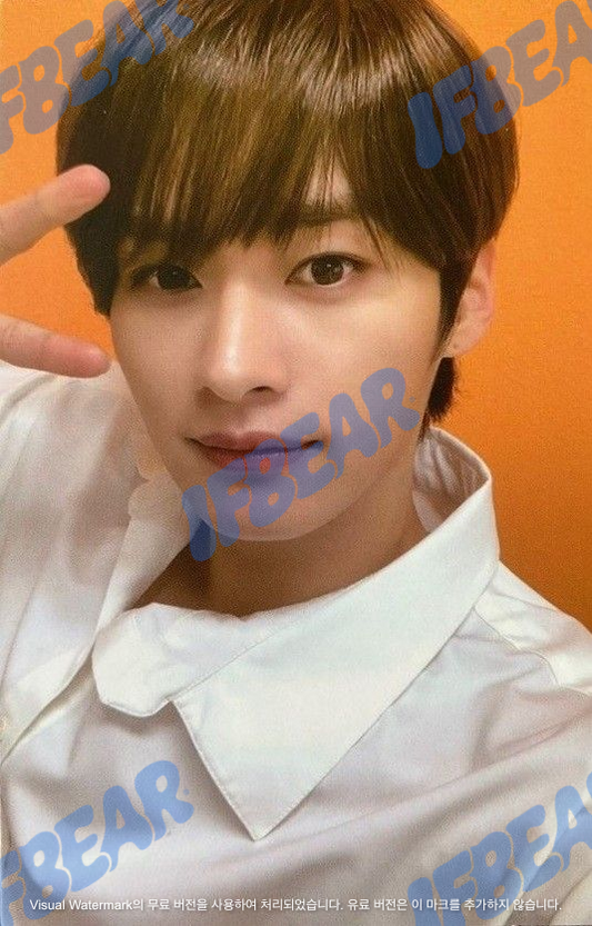 GO生 고생 GO LIVE DOUBLE-SIDED A VER LEE KNOW 리노 2020 Photocard PC