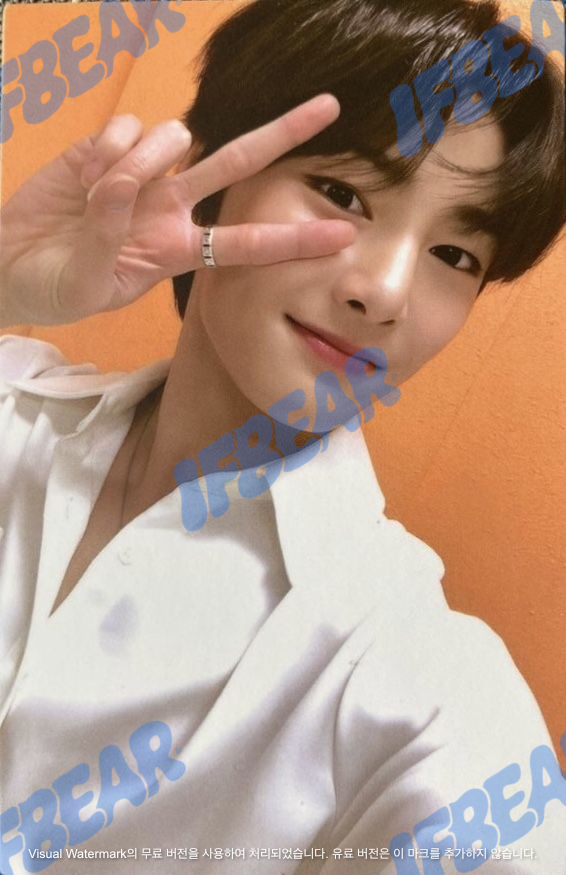 GO生 고생 GO LIVE DOUBLE-SIDED A VER I.N 아이엔 2020 Photocard PC