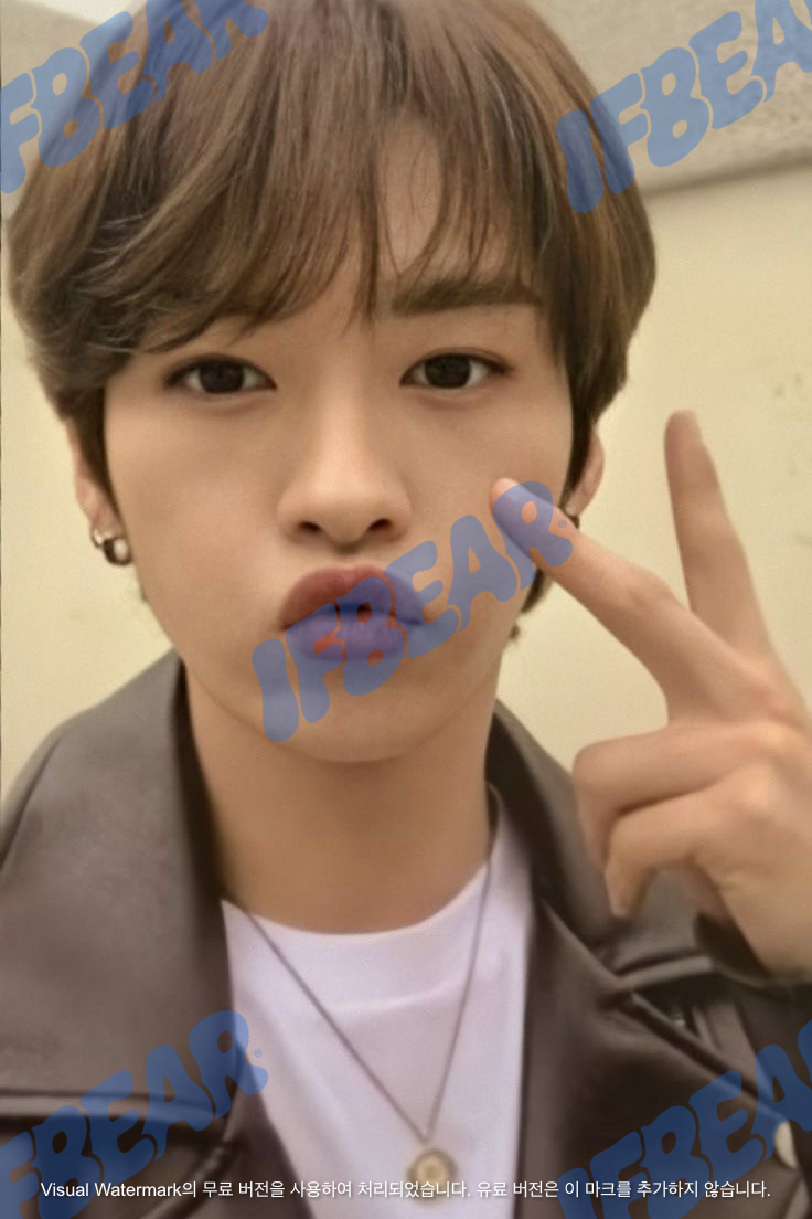 GO生 고생 GO LIVE DOUBLE-SIDED B VER LEE KNOW 리노 2020 Photocard PC