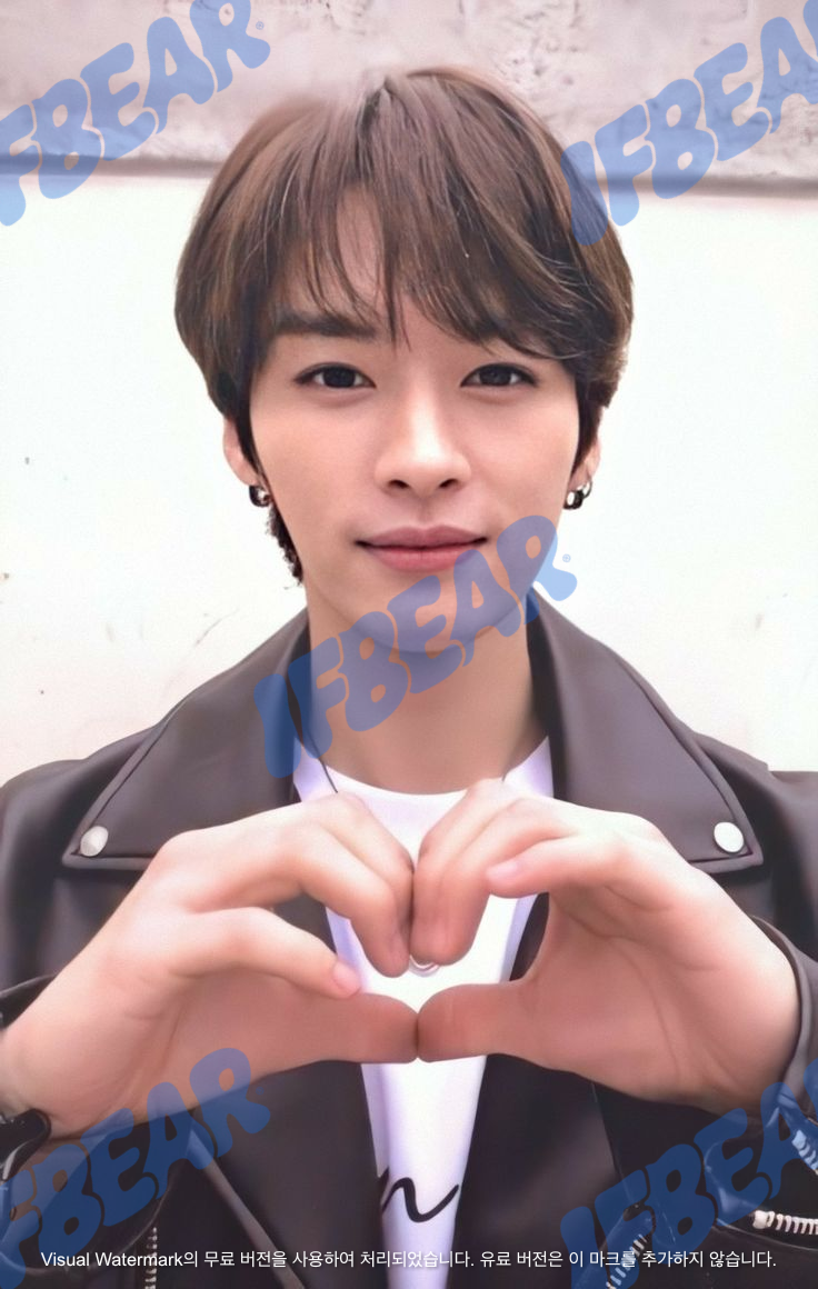 GO生 고생 GO LIVE DOUBLE-SIDED B VER LEE KNOW 리노 2020 Photocard PC