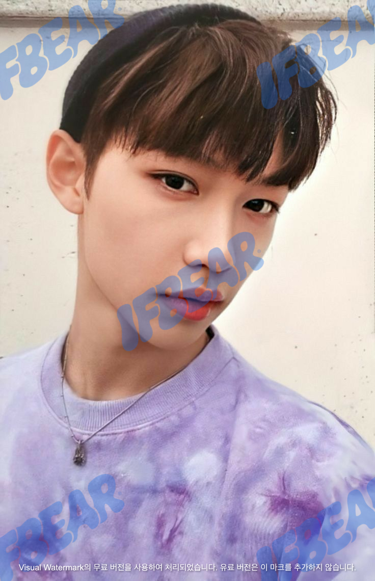 GO生 고생 GO LIVE DOUBLE-SIDED B VER FELIX 필릭스 2020 Photocard PC