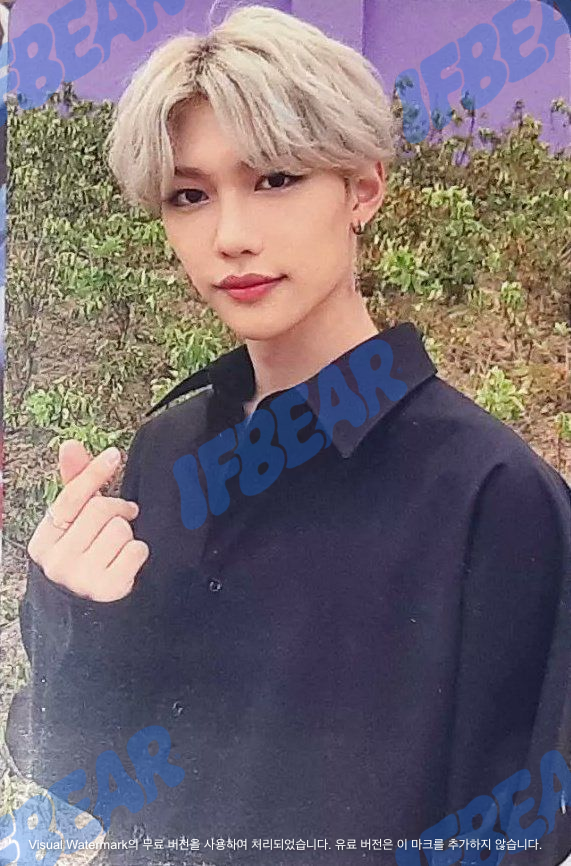 GO生 고생 GO LIVE SOUNDWAVE BENEFIT FELIX 필릭스 2020 Photocard PC