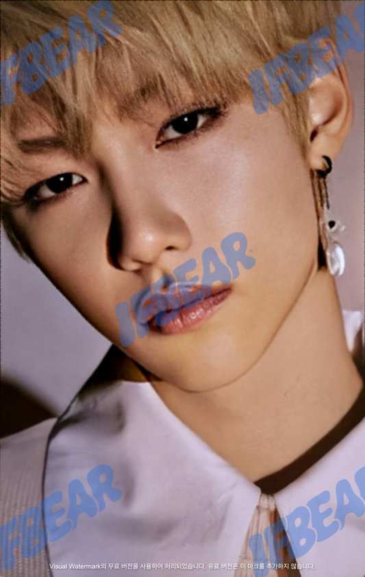 YELLOW WOOD 옐로우 우드 CONCEPT VER FELIX 필릭스 2019 YW Photocard PC