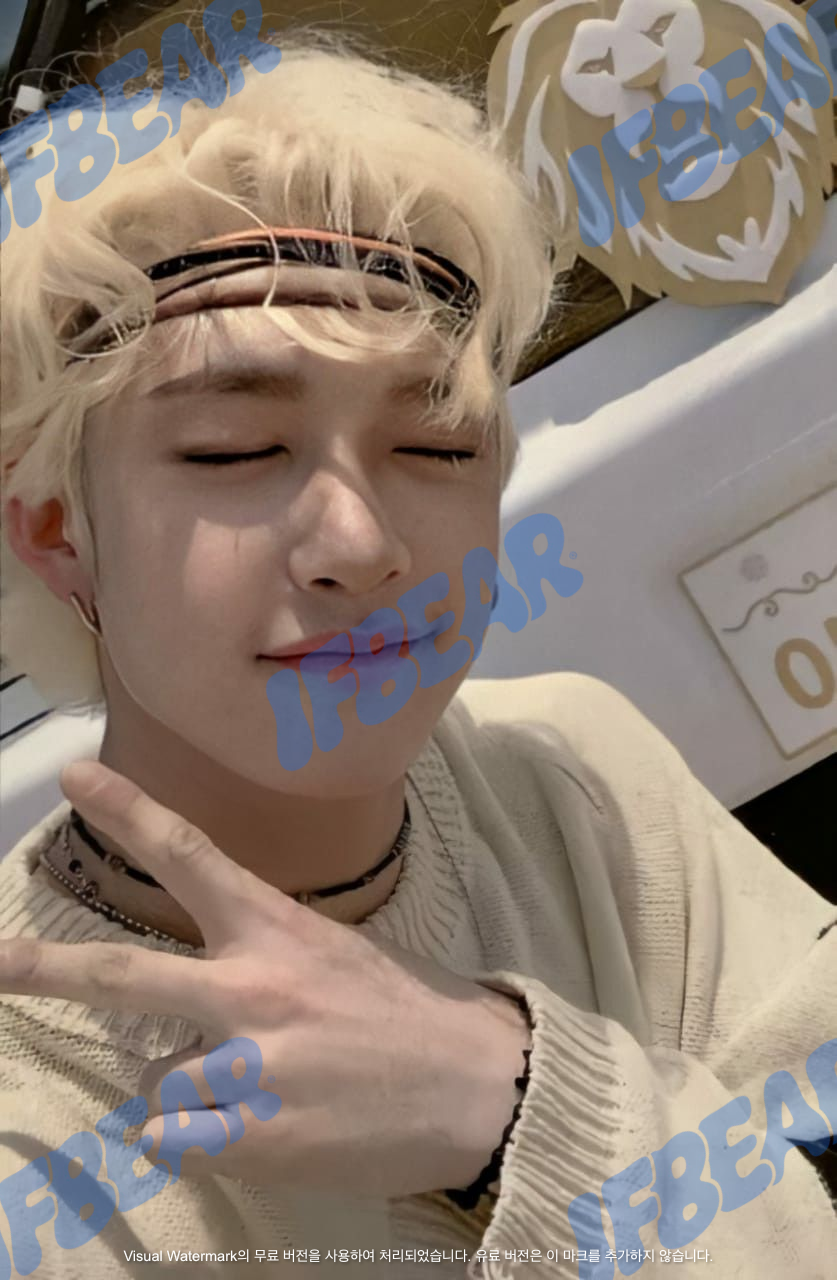 YELLOW WOOD 옐로우 우드 OUTDOOR VER BANGCHAN 방찬 2019 YW Photocard PC