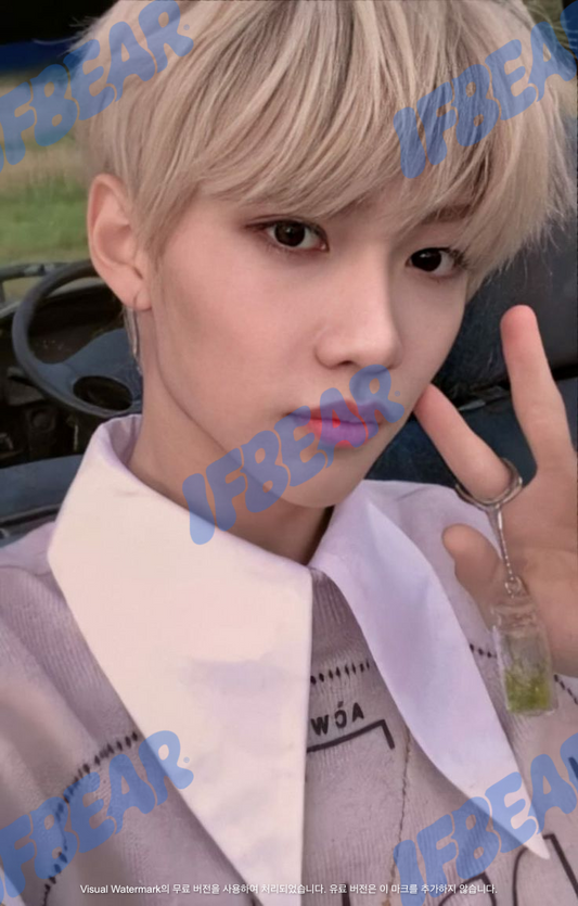 YELLOW WOOD 옐로우 우드 OUTDOOR VER FELIX 필릭스 2019 YW Photocard PC