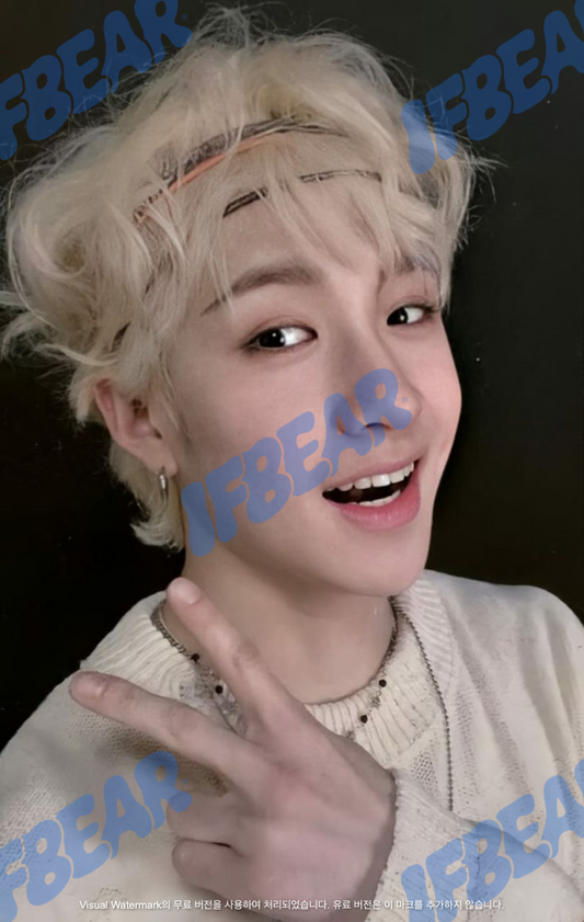 YELLOW WOOD 옐로우 우드 INDOOR VER BANGCHAN 방찬 2019 YW Photocard PC