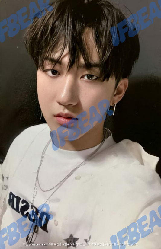 YELLOW WOOD 옐로우 우드 INDOOR VER CHANGBIN 창빈 2019 YW Photocard PC