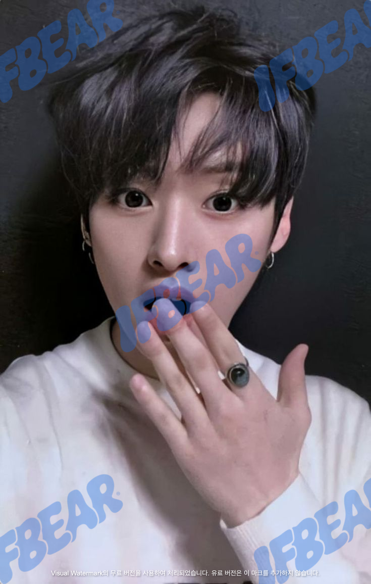 YELLOW WOOD 옐로우 우드 INDOOR VER LEE KNOW 리노 2019 YW Photocard PC