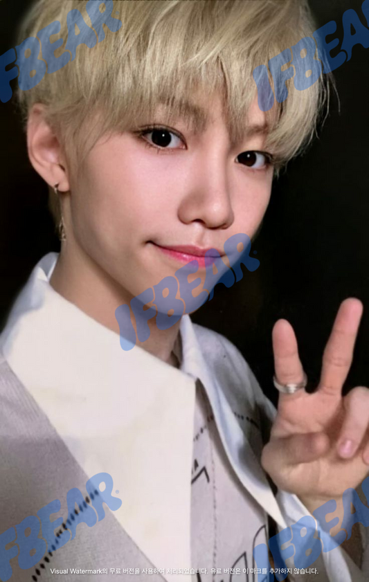 YELLOW WOOD 옐로우 우드 INDOOR VER FELIX 필릭스 2019 YW Photocard PC