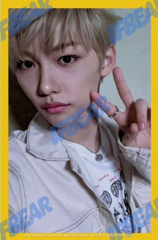 YELLOW WOOD 옐로우 우드 YELLOW BORDER VER FELIX 필릭스 2019 YW Photocard PC