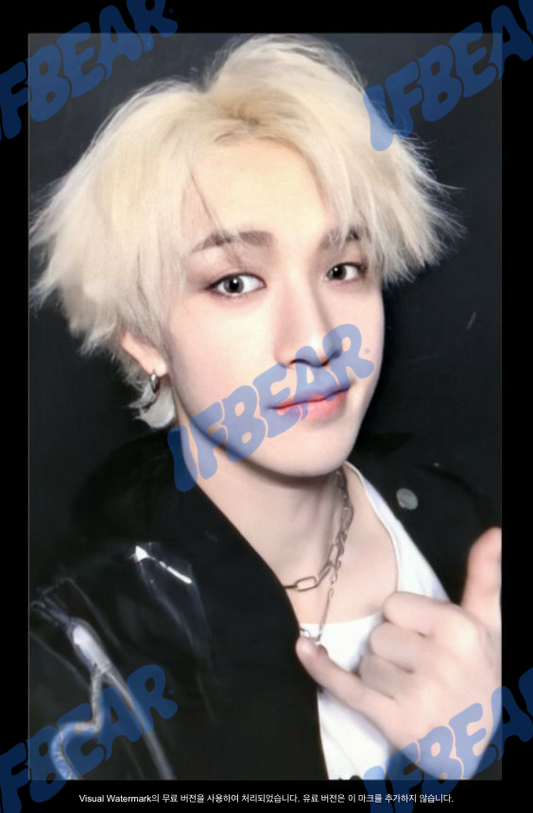 YELLOW WOOD 옐로우 우드 BLACK BORDER BANGCHAN 방찬 2019 YW Photocard PC