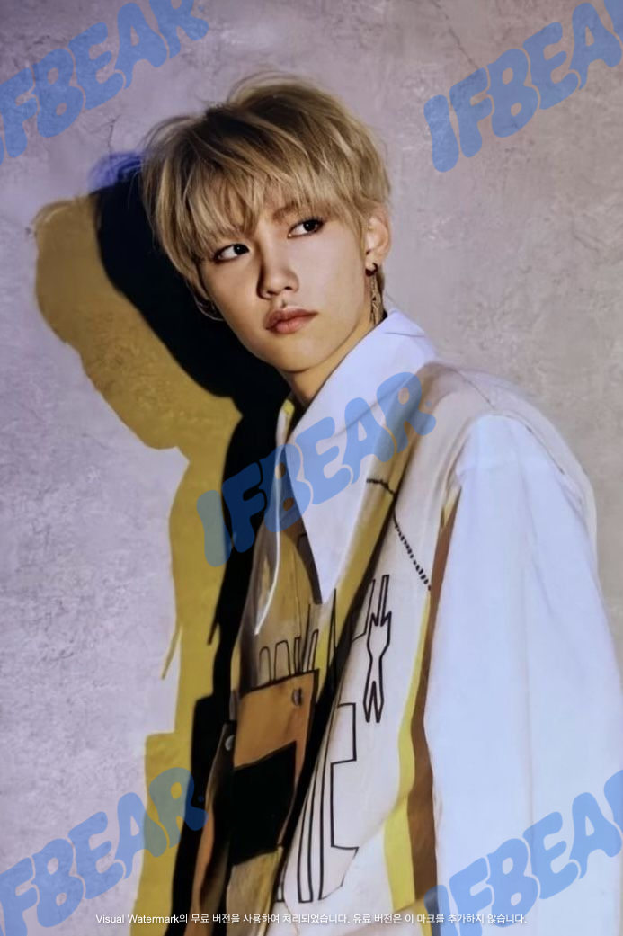 YELLOW WOOD 옐로우 우드 PRE-ORDER FELIX 필릭스 2019 YW